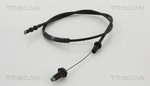 Accelerator Cable TRISCAN 814013301