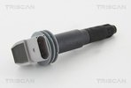 Ignition Coil TRISCAN 886020005