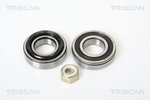 Wheel Bearing Kit TRISCAN 853025102
