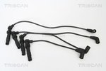 Ignition Cable Kit TRISCAN 886029002