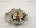 Water Pump, engine cooling TRISCAN 860016011