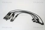 Ignition Cable Kit TRISCAN 886029026