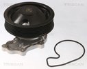 Water Pump, engine cooling TRISCAN 860040020