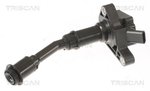 Ignition Coil TRISCAN 886016040