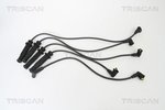 Ignition Cable Kit TRISCAN 886017007