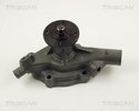 Water Pump, engine cooling TRISCAN 860041008