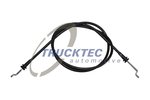 Cable Pull, door release TRUCKTEC AUTOMOTIVE 0254053