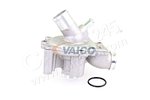 Water Pump, engine cooling VAICO V20-50041