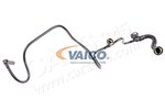 Hose, crankcase ventilation VAICO V42-0800