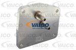 Filling Adapter, transmission VAICO V99-1150
