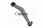 Control Arm/Trailing Arm, wheel suspension VAICO V20-0369
