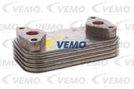 Oil Cooler, engine oil VEMO V22-60-0043